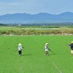 Việt Nam cần chuyển từ thích ứng từng bước sang xây dựng khả năng chống chịu với biến đổi khí hậu